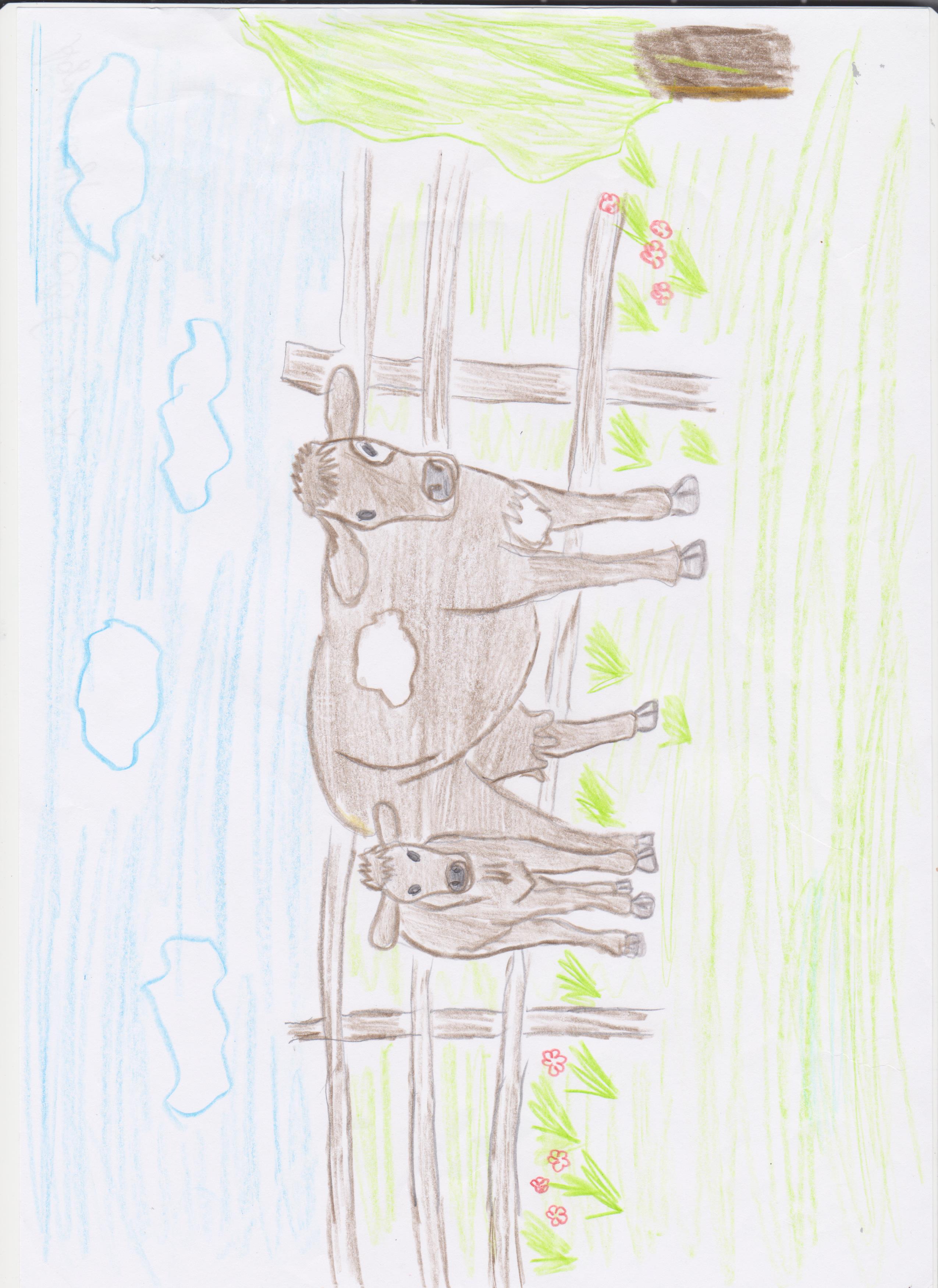 Аджимуратов Селим 2 А кл