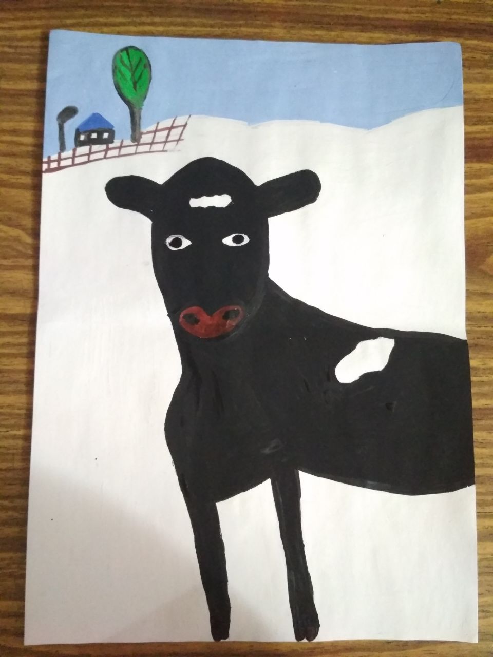 Грицаенко Дарья