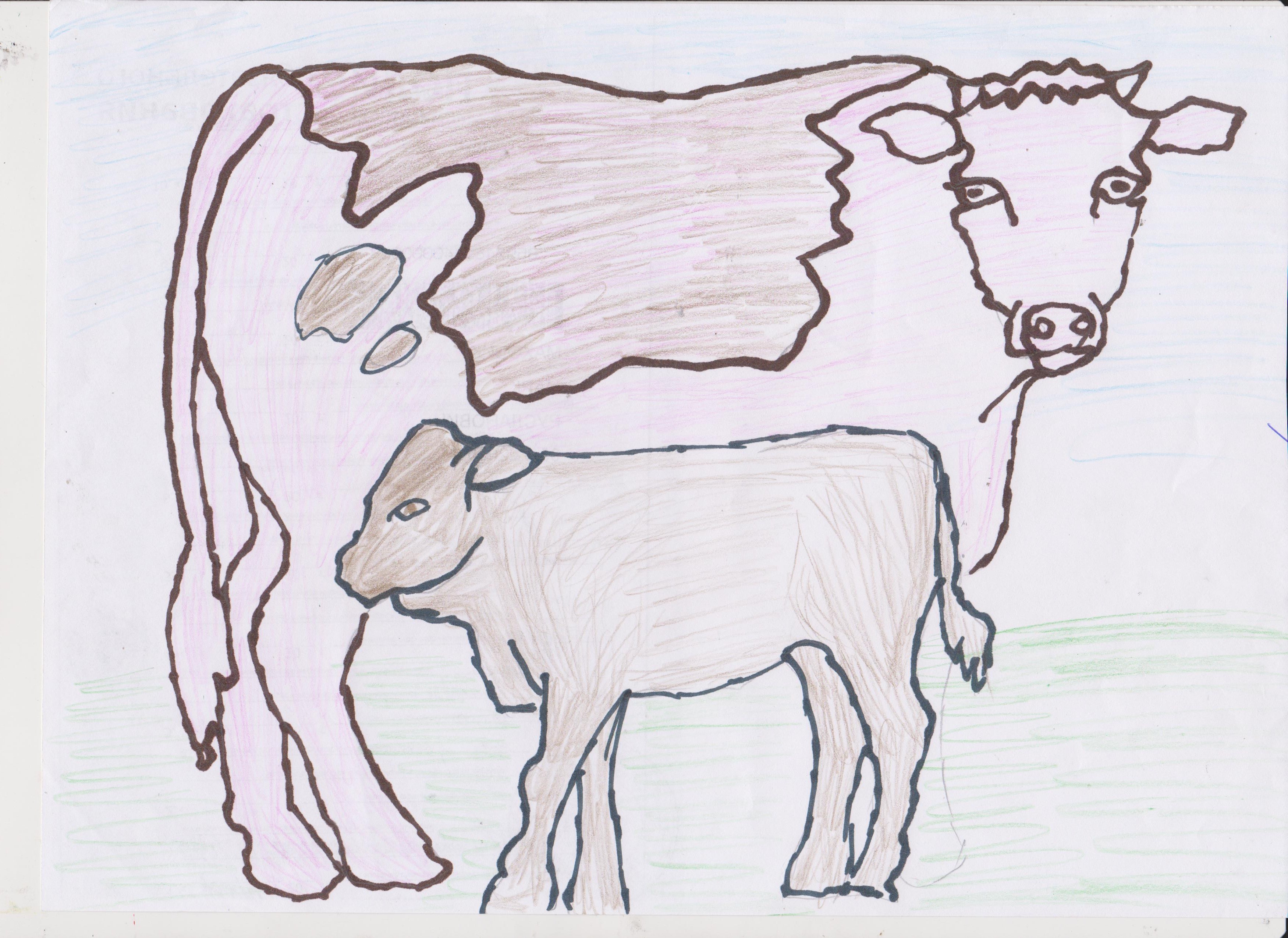 Маховик Марк 001