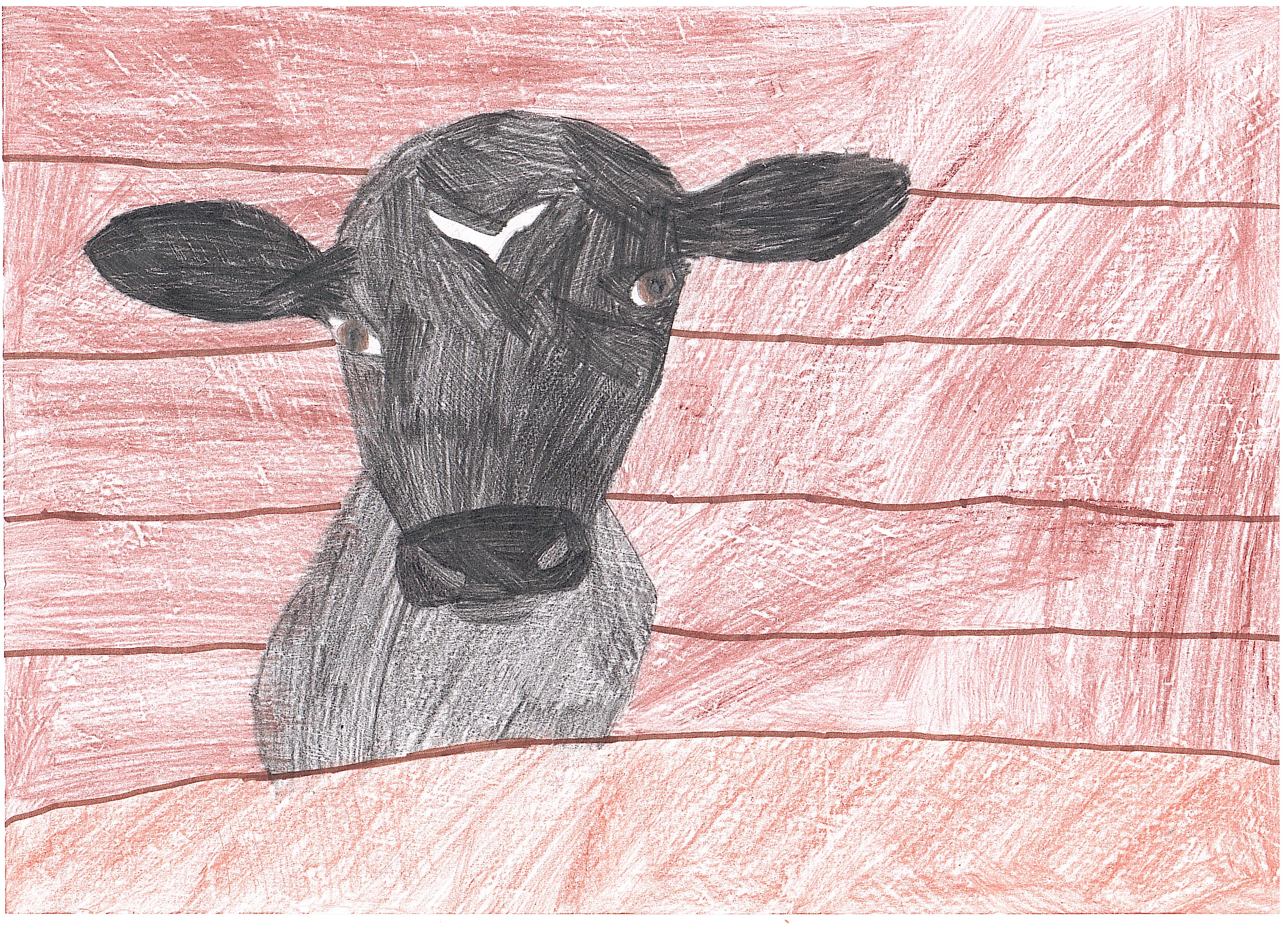 Ярикова София Виктория