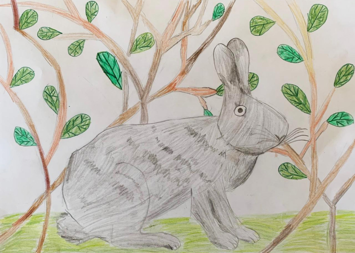 Дегтерев Гордей 2а класс Арт Этюд Котельникова