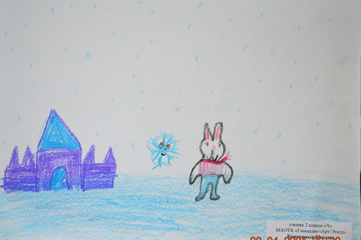 Комарицын Михаил